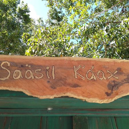 Saasil Kaax Villa Chemuyil Buitenkant foto