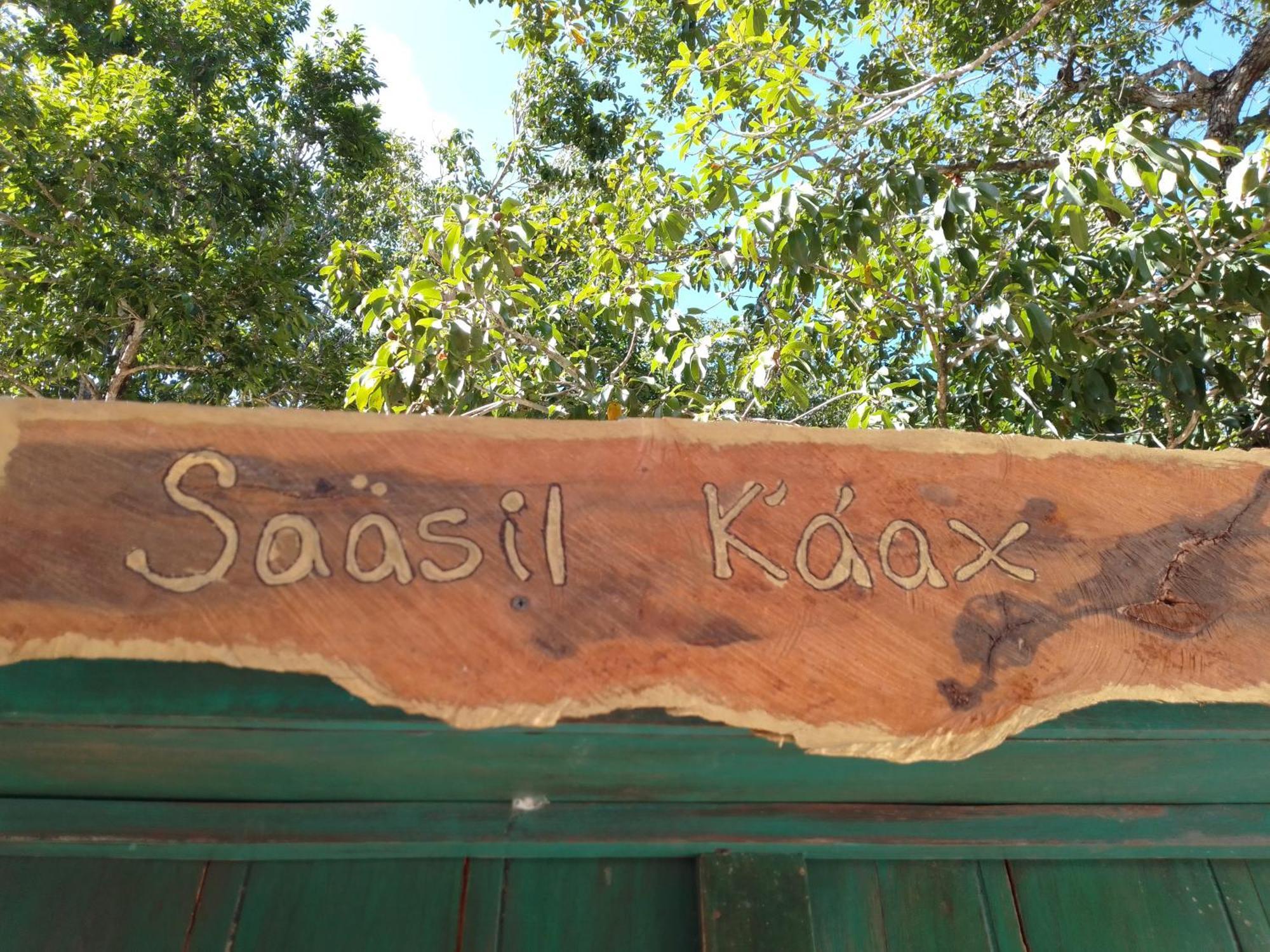 Saasil Kaax Villa Chemuyil Buitenkant foto